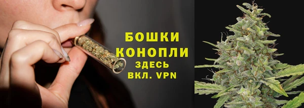 спайс Корсаков