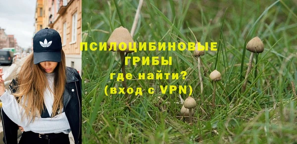 метадон Коряжма