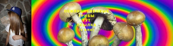 герыч Алзамай