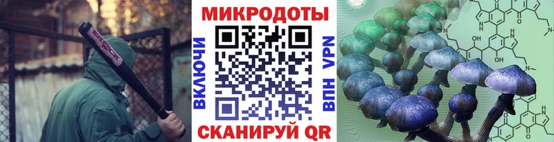 Галлюциногенные грибы Cubensis  цены   Москва 
