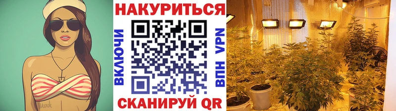 Бошки марихуана OG Kush  Москва 